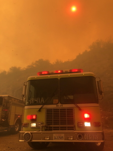 4Wildland1_300